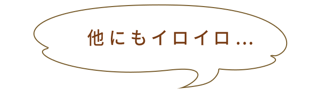 他にもイロイロ…