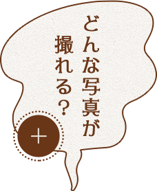 どんな写真が撮れる？